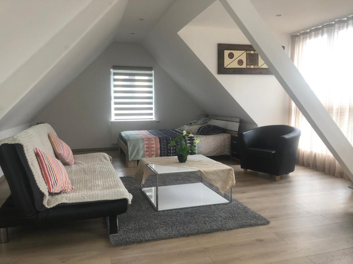 Willa Chez Willi Niederschaeffolsheim المظهر الخارجي الصورة