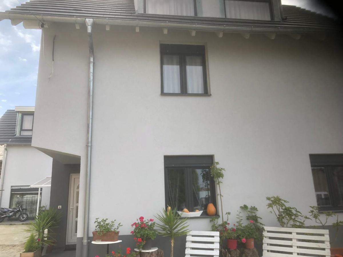 Willa Chez Willi Niederschaeffolsheim المظهر الخارجي الصورة